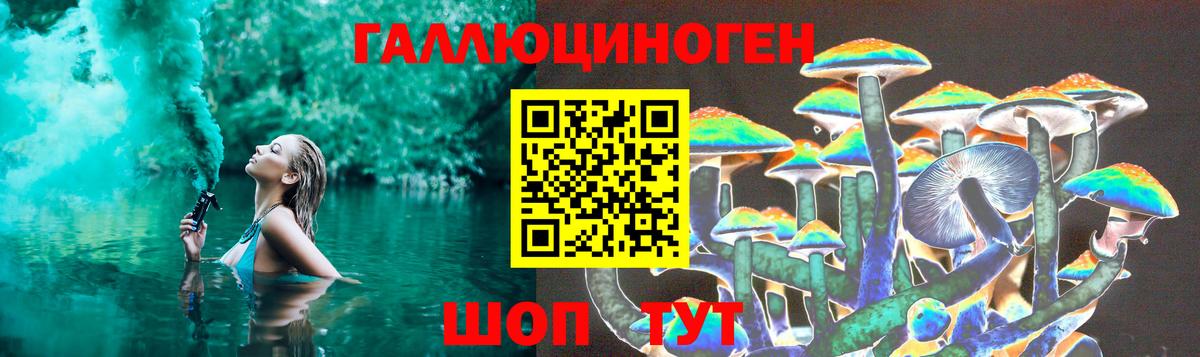 Псилоцибиновые грибы мухоморы  Псилоцибиновые грибы MAGIC MUSHROOMS  Чебоксары  Вход с VPN 
